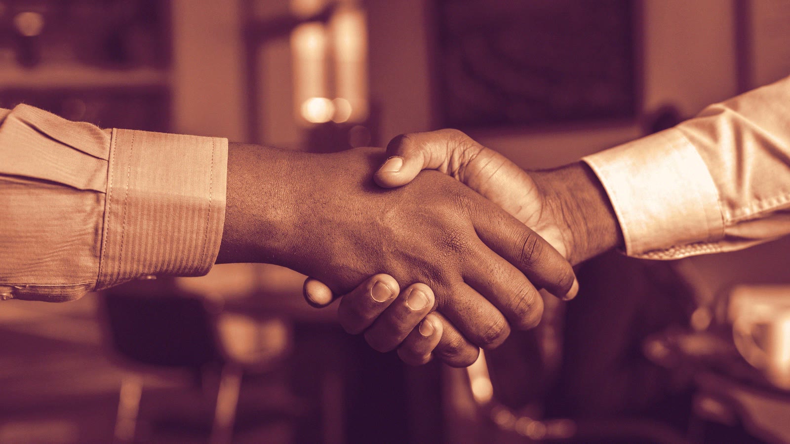 Stretta di mano tra due professionisti